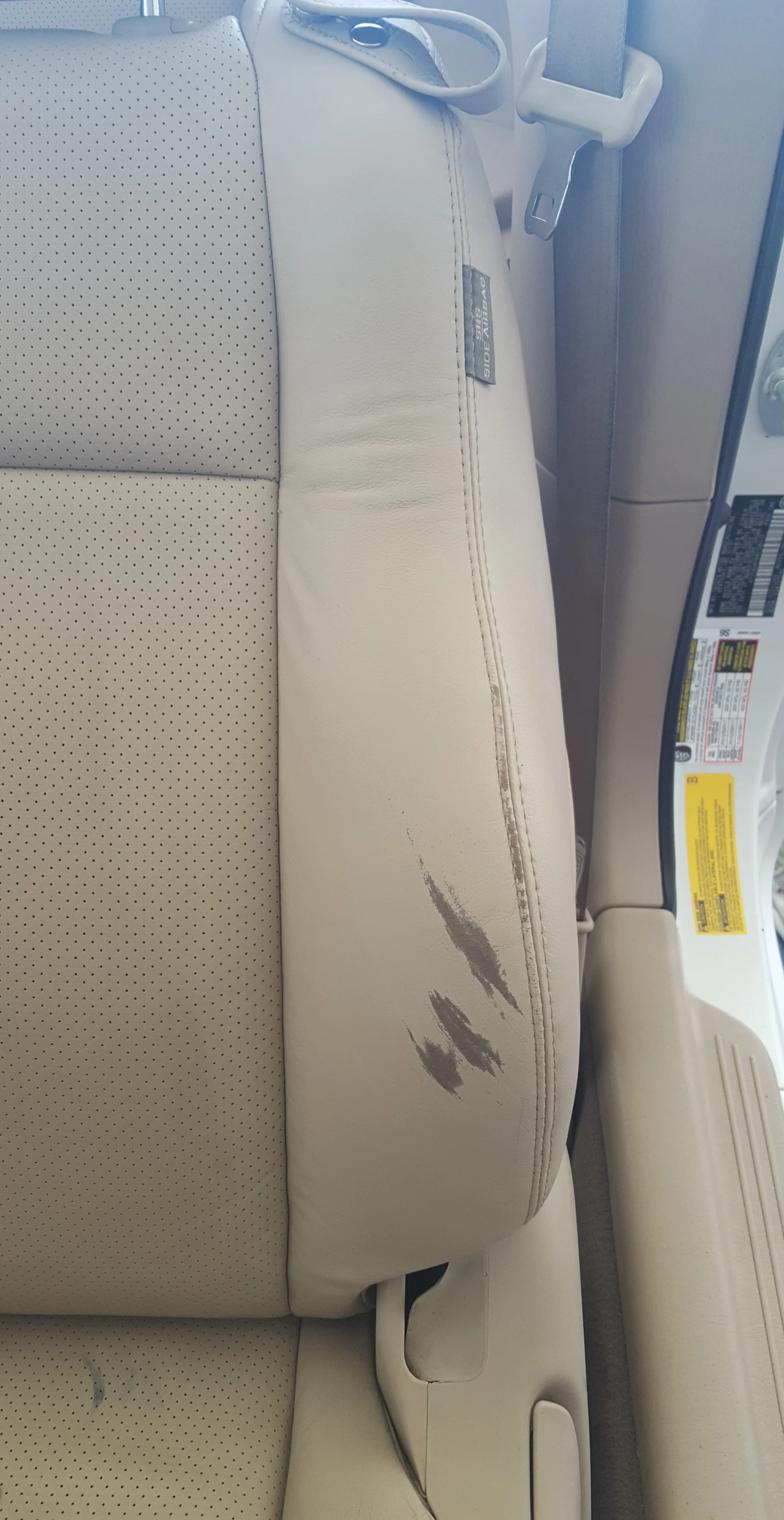 Professional leather redye portfolio image 5